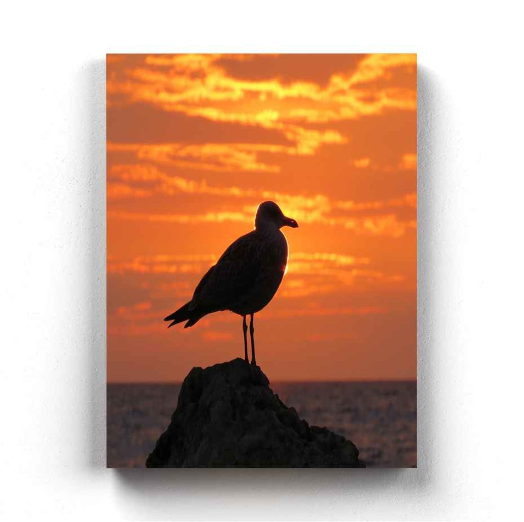 Sun And Bird - Animal Art Frame For Wall Decor- Funkydecors Xs / Canvas Posters Prints &amp; Visual