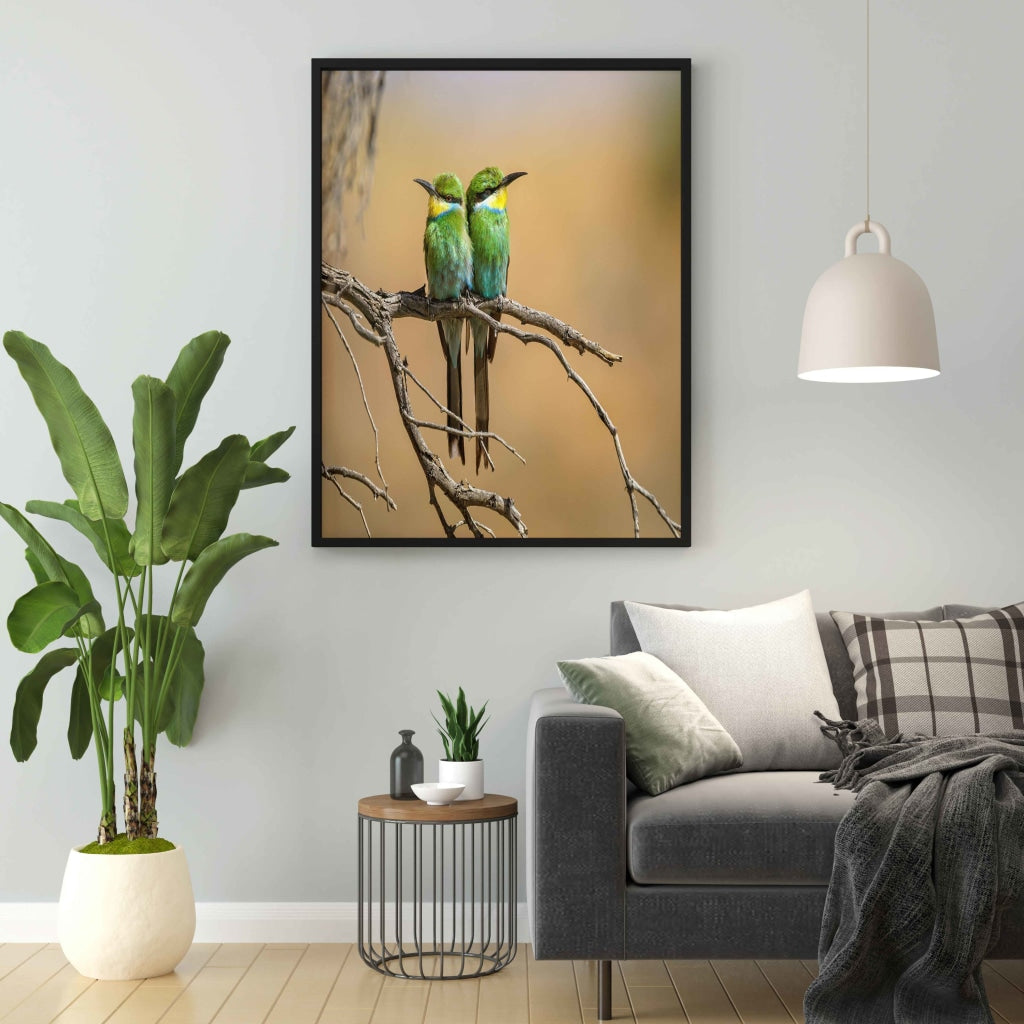 The Angry Bird - Animal Art Frame For Wall Decor- Funkydecors Xs / Black Posters Prints &amp; Visual