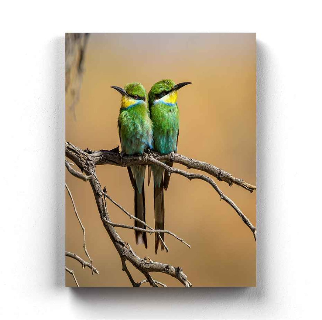 The Angry Bird - Animal Art Frame For Wall Decor- Funkydecors Xs / Canvas Posters Prints &amp; Visual