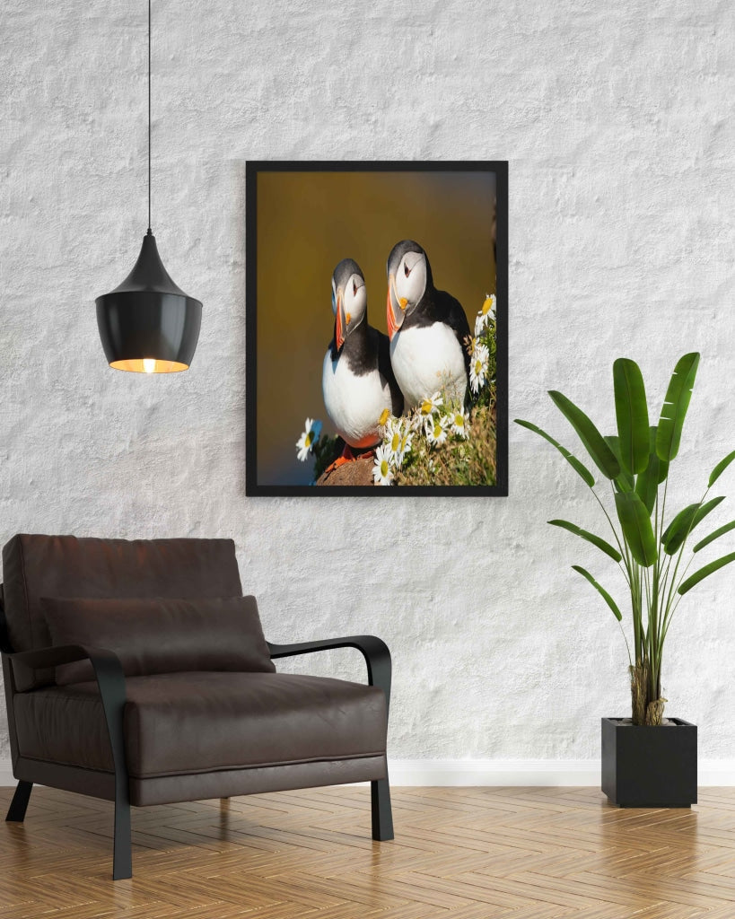 The Atlantic Puffin - Animal Art Frame For Wall Decor- Funkydecors Xs / Black Posters Prints &amp;