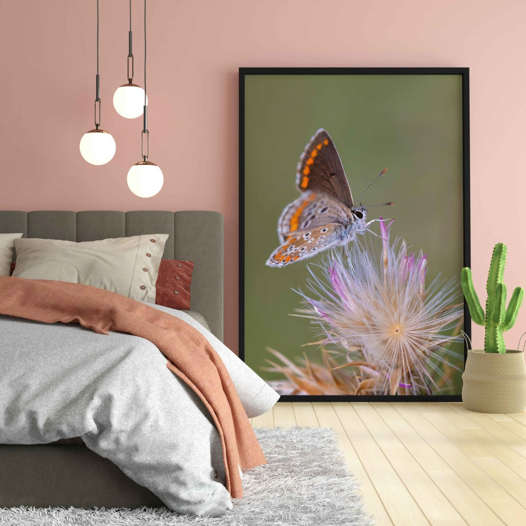 The Blue Lupine - Animal Art Frame For Wall Decor- Funkydecors Xs / Black Posters Prints &amp; Visual