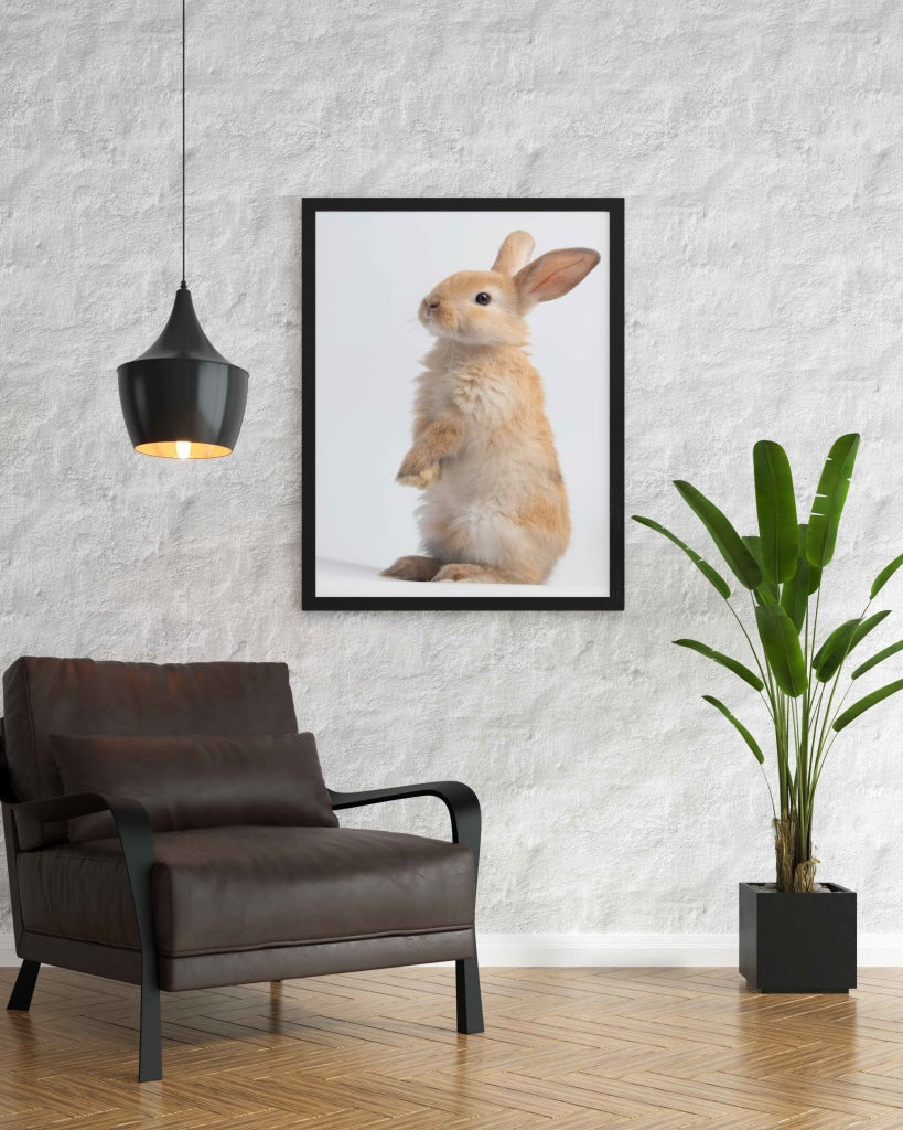 The Bunny - Animal Art Frame For Wall Decor- Funkydecors Xs / Black Posters Prints &amp; Visual Artwork