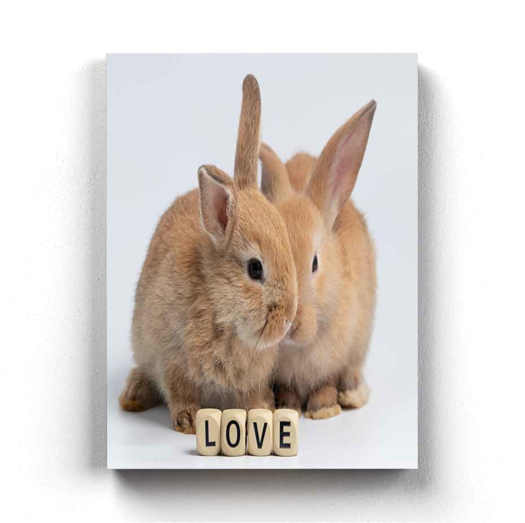 The Bunny - Animal Art Frame For Wall Decor- Funkydecors Xs / Canvas Posters Prints &amp; Visual Artwork