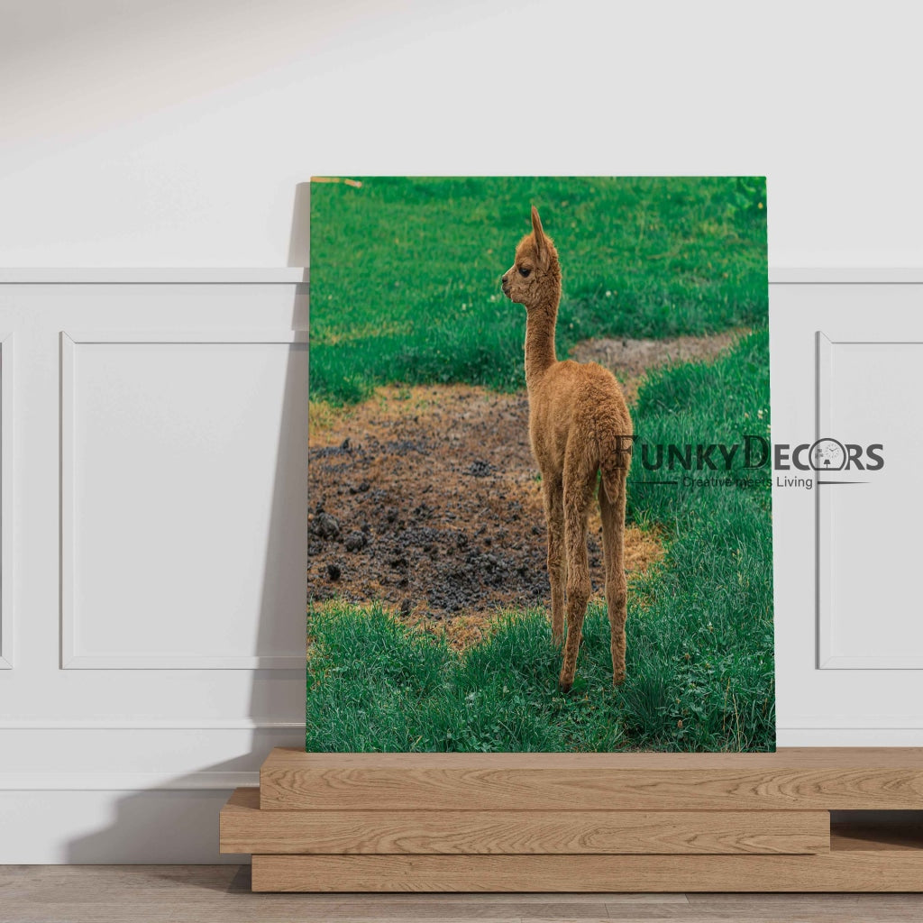 The Cute Lama - Animal Art Frame For Wall Decor- Funkydecors Posters Prints &amp; Visual Artwork