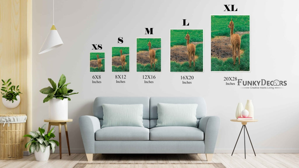 The Cute Lama - Animal Art Frame For Wall Decor- Funkydecors Posters Prints &amp; Visual Artwork