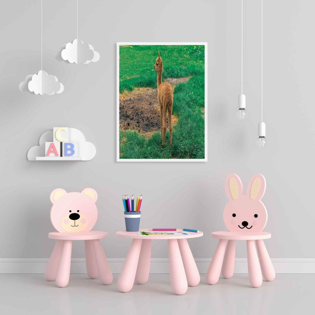 The Cute Lama - Animal Art Frame For Wall Decor- Funkydecors Xs / White Posters Prints & Visual