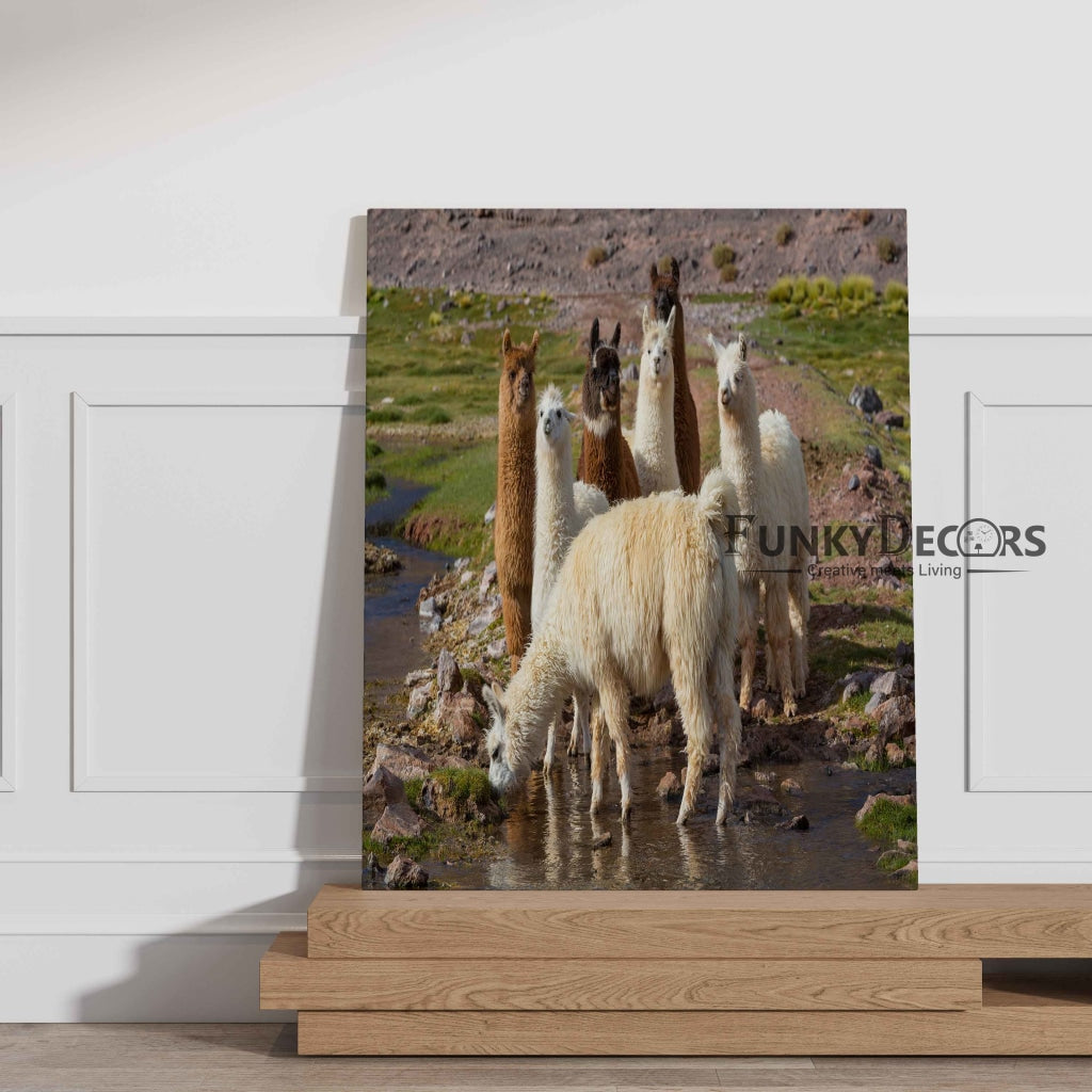 The Cute Lamas - Animal Art Frame For Wall Decor- Funkydecors Posters Prints &amp; Visual Artwork