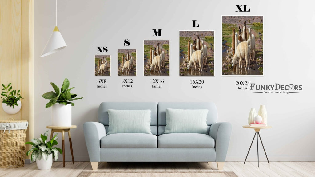 The Cute Lamas - Animal Art Frame For Wall Decor- Funkydecors Posters Prints &amp; Visual Artwork