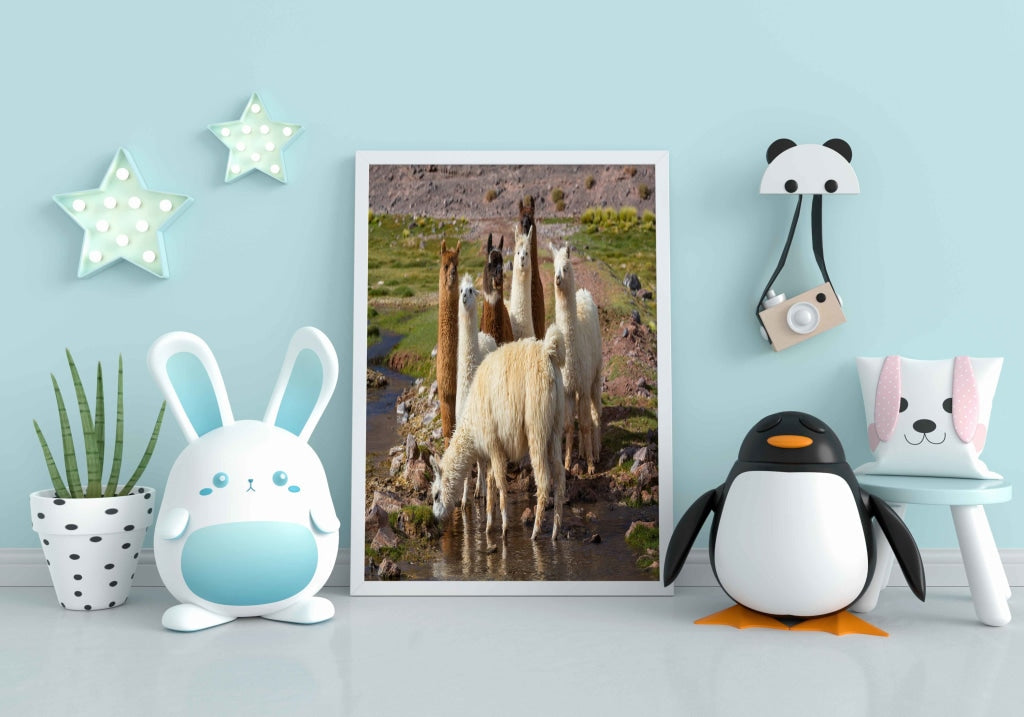 The Cute Lamas - Animal Art Frame For Wall Decor- Funkydecors Xs / White Posters Prints &amp; Visual