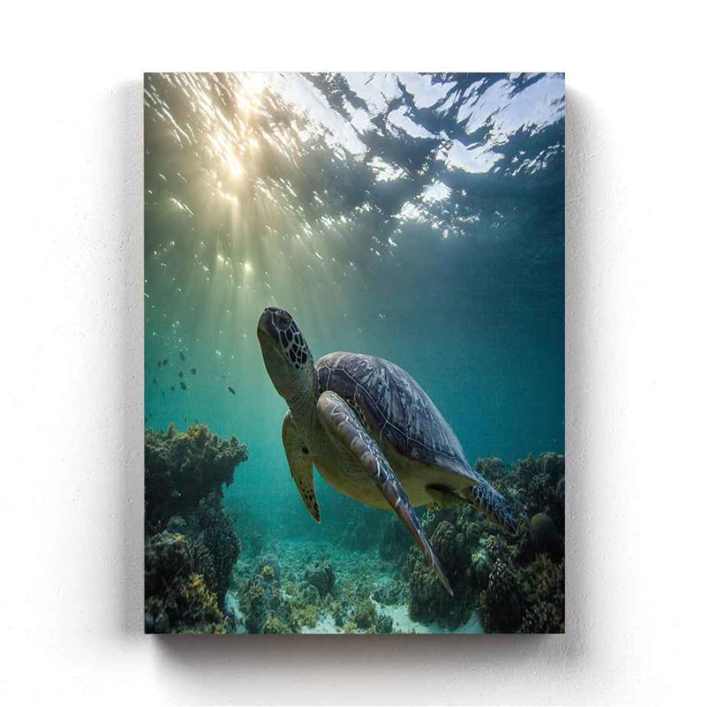 The Green Turtle - Animal Art Frame For Wall Decor- Funkydecors Xs / Canvas Posters Prints &amp; Visual