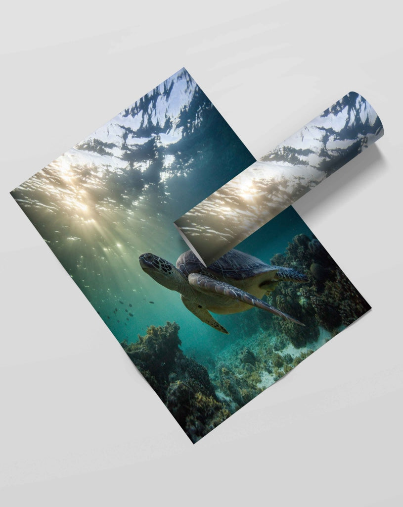 The Green Turtle - Animal Art Frame For Wall Decor- Funkydecors Xs / Roll Posters Prints &amp; Visual