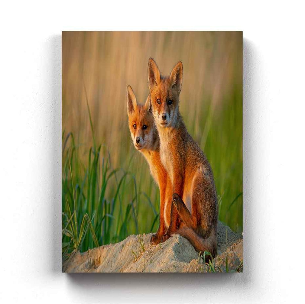 The Red Fox - Animal Art Frame For Wall Decor- Funkydecors Xs / Canvas Posters Prints &amp; Visual