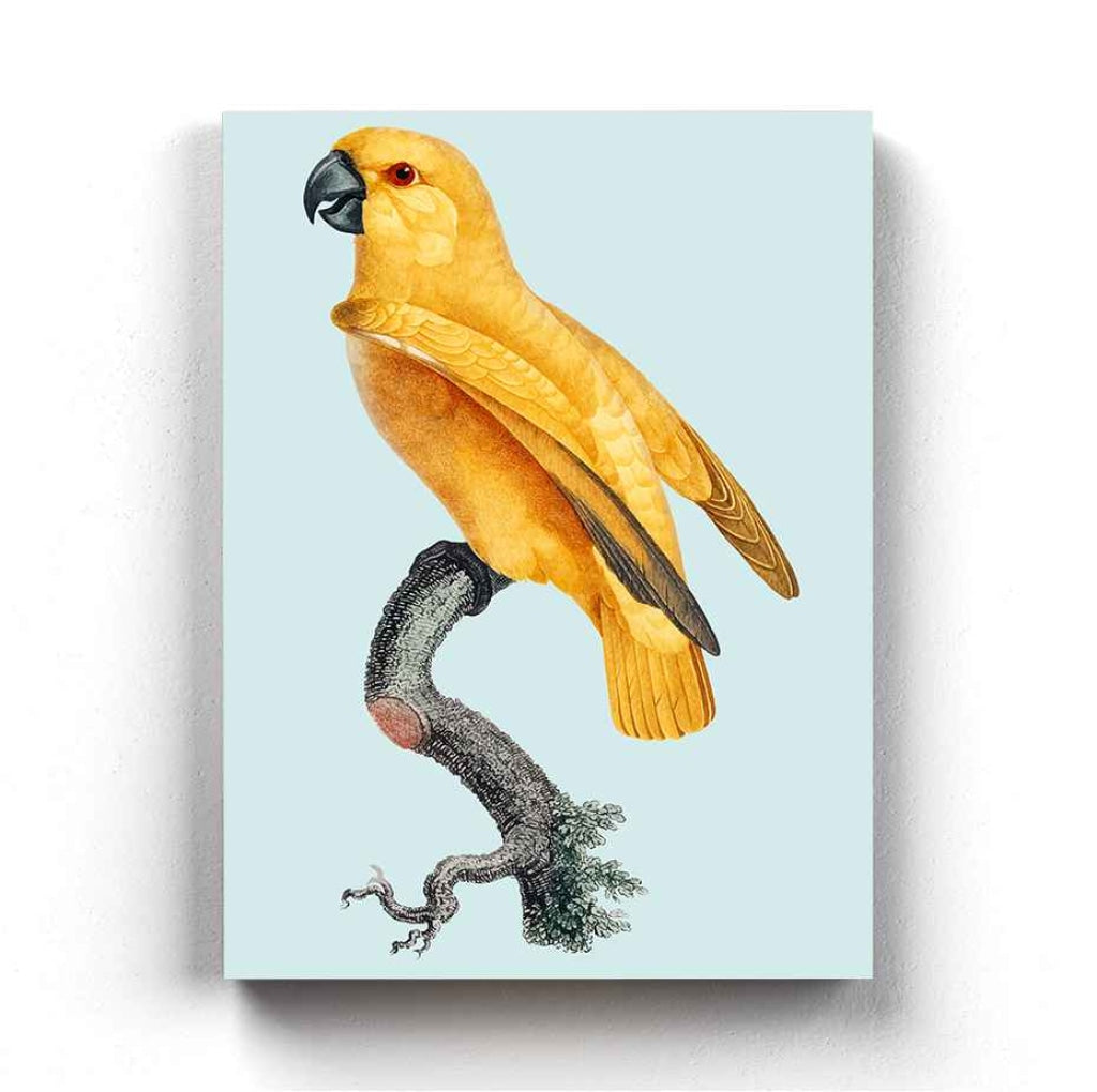 The Rising Bird - Animal Art Frame For Wall Decor- Funkydecors Xs / Canvas Posters Prints & Visual