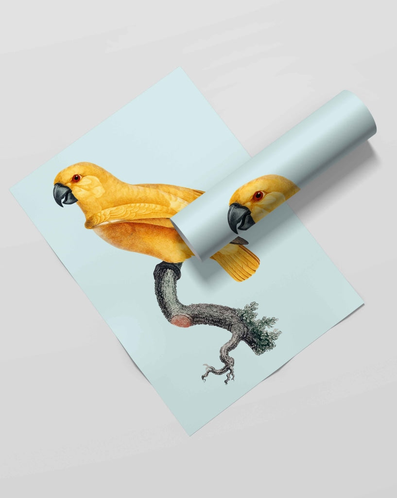 The Rising Bird - Animal Art Frame For Wall Decor- Funkydecors Xs / Roll Posters Prints & Visual