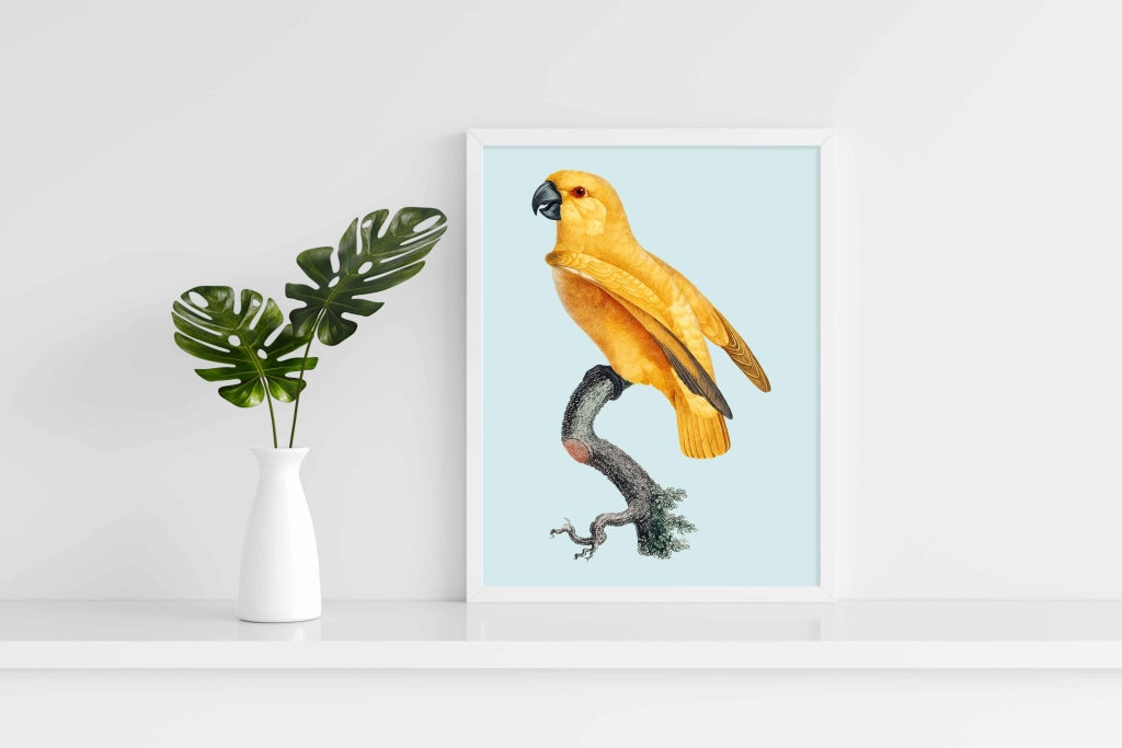 The Rising Bird - Animal Art Frame For Wall Decor- Funkydecors Xs / White Posters Prints & Visual