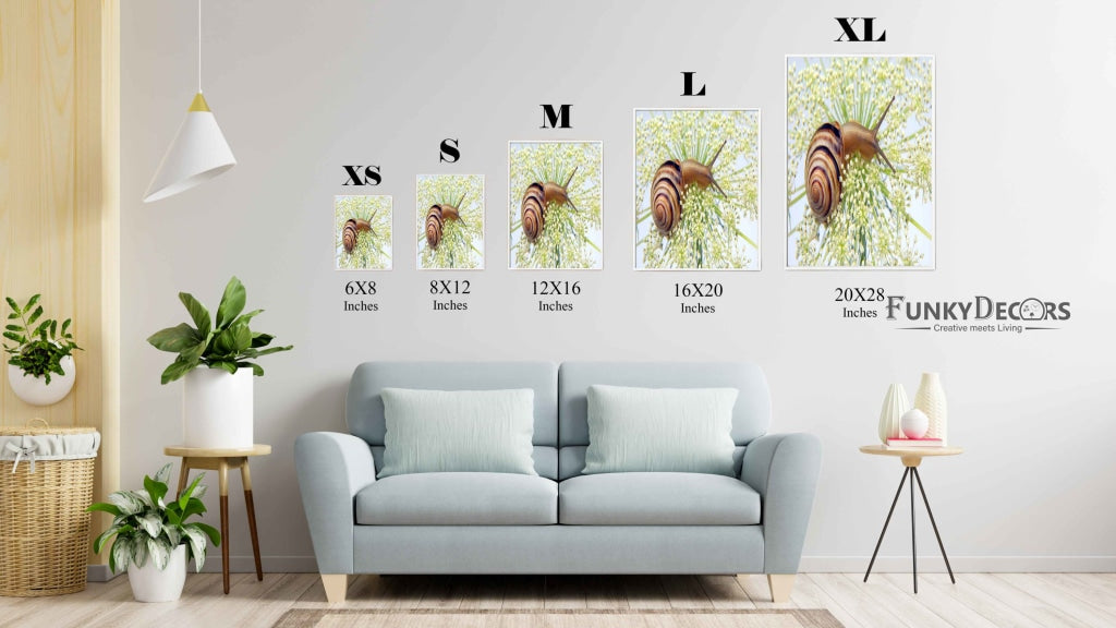 The Sluggish Snail - Animal Art Frame For Wall Decor- Funkydecors Posters Prints & Visual Artwork