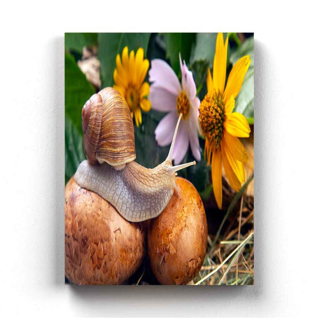 The Sluggish Snail - Animal Art Frame For Wall Decor- Funkydecors Xs / Canvas Posters Prints &amp;