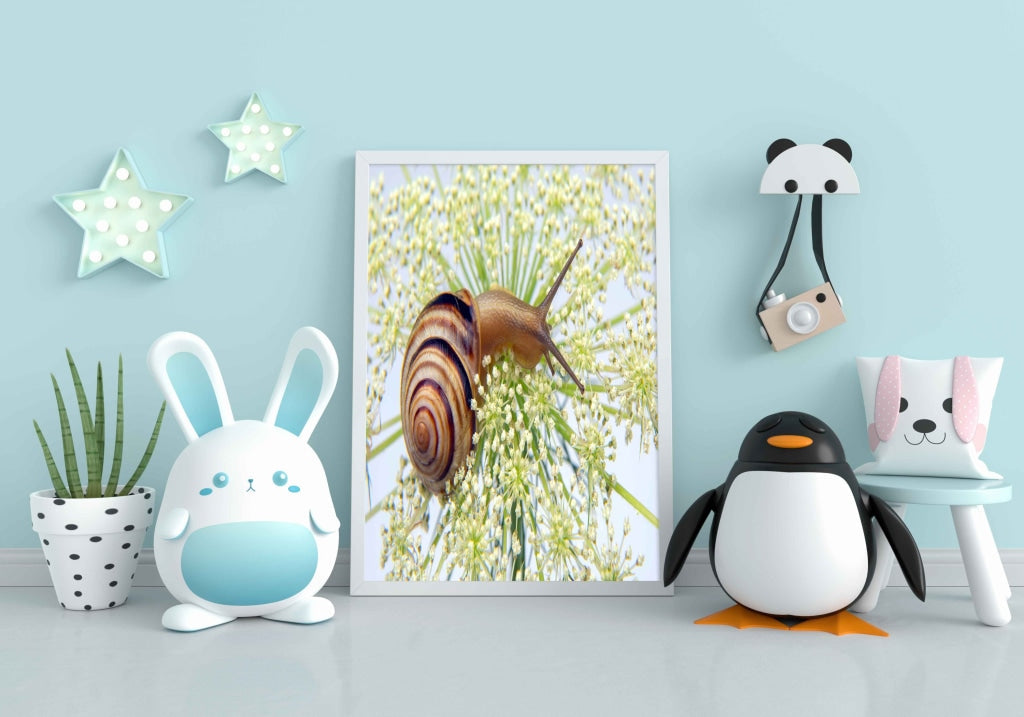 The Sluggish Snail - Animal Art Frame For Wall Decor- Funkydecors Xs / White Posters Prints &amp; Visual