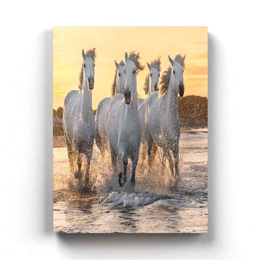 The White Horse - Animal Art Frame For Wall Decor- Funkydecors Xs / Canvas Posters Prints &amp; Visual