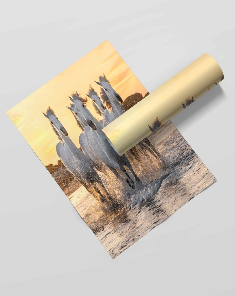The White Horse - Animal Art Frame For Wall Decor- Funkydecors Xs / Roll Posters Prints &amp; Visual