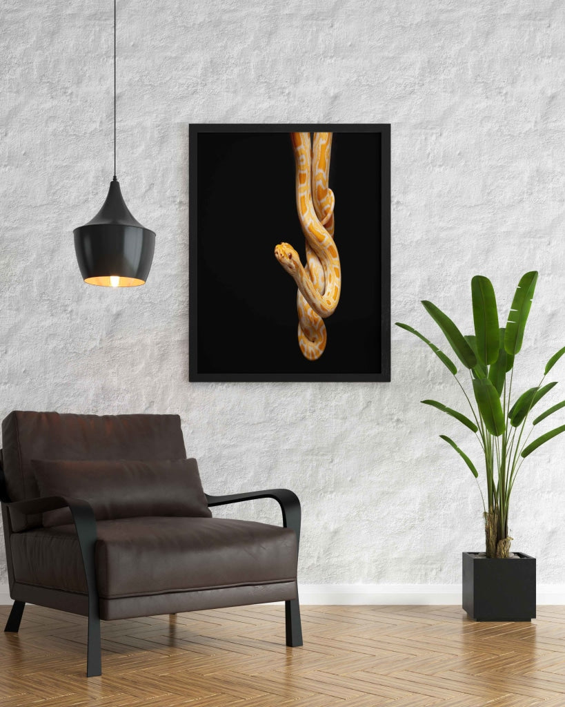The Yellow Python - Animal Art Frame For Wall Decor- Funkydecors Xs / Black Posters Prints &amp; Visual