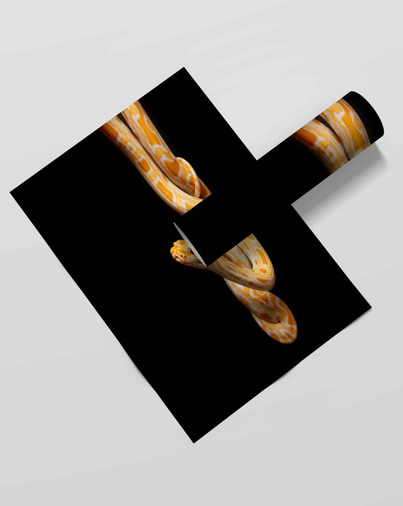 The Yellow Python - Animal Art Frame For Wall Decor- Funkydecors Xs / Roll Posters Prints &amp; Visual