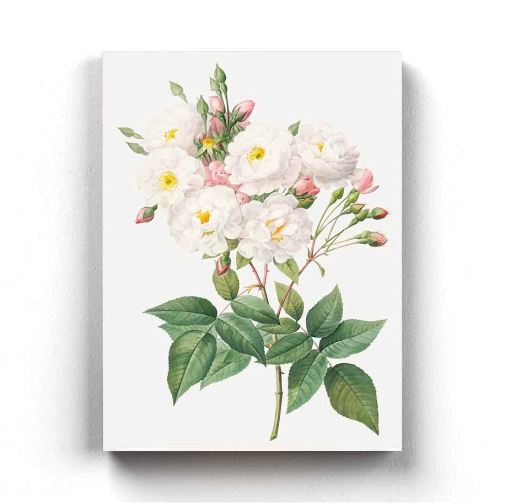 White As Frost - Nature Art Frame For Wall Decor- Funkydecors Xs / Canvas Posters Prints & Visual