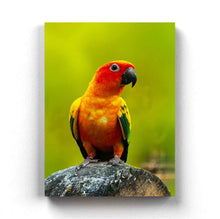 Load image into Gallery viewer, Being Bright - Animal Art Frame For Wall Decor- Funkydecors Xs / Canvas Posters Prints &amp; Visual
