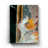 Cat Lover - Animal Art Frame For Wall Decor- Funkydecors Xs / Canvas Posters Prints & Visual Artwork