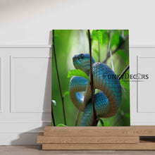Load image into Gallery viewer, Pit Viper - Animal Art Frame For Wall Decor- Funkydecors Posters Prints &amp; Visual Artwork
