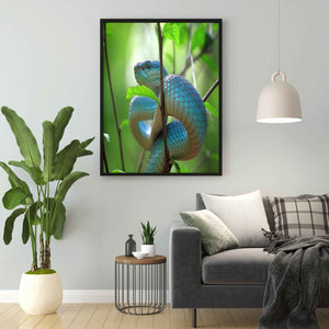 Pit Viper - Animal Art Frame For Wall Decor- Funkydecors Xs / Black Posters Prints & Visual Artwork