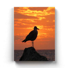 Load image into Gallery viewer, Sun And Bird - Animal Art Frame For Wall Decor- Funkydecors Xs / Canvas Posters Prints &amp; Visual
