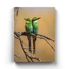 The Angry Bird - Animal Art Frame For Wall Decor- Funkydecors Xs / Canvas Posters Prints & Visual