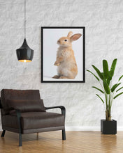Load image into Gallery viewer, The Bunny - Animal Art Frame For Wall Decor- Funkydecors Xs / Black Posters Prints &amp; Visual Artwork
