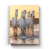 The White Horse - Animal Art Frame For Wall Decor- Funkydecors Xs / Canvas Posters Prints & Visual